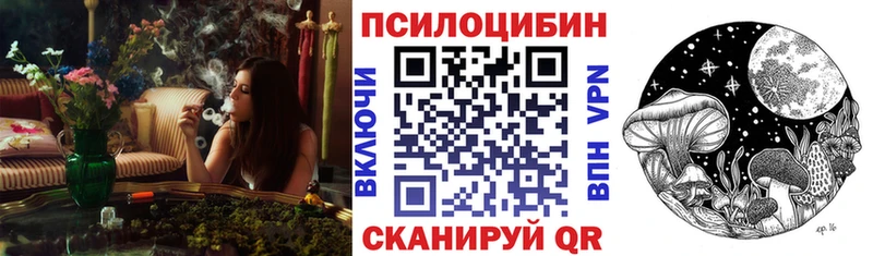Купить где  Магадан  Галлюциногенные грибы Psilocybine cubensis 